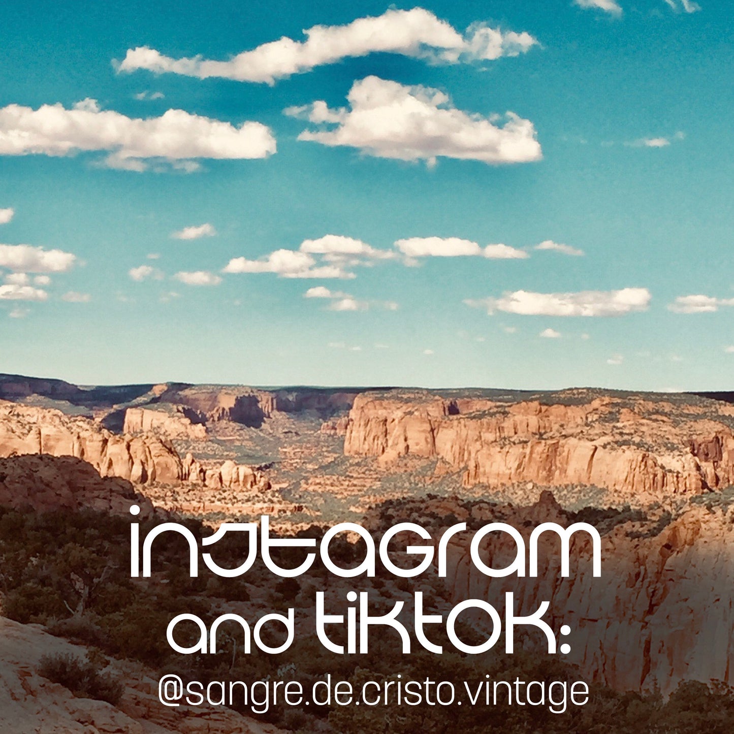 SDCV ORIGINAL HANDCRAFTED LARGE CONCHO EARRINGS // BROWN